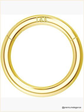 14K Solid Gold Hinged Seamless Hoop 16G 6mm Helix Tragus Cartilage Earring